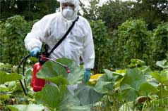 Pesticide worker in protective gear